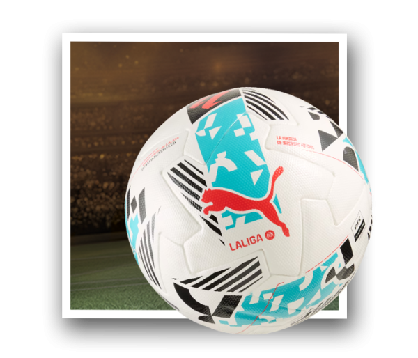 Polaroïd avec ballon de football officiel PUMA LALIGA